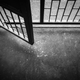iStock